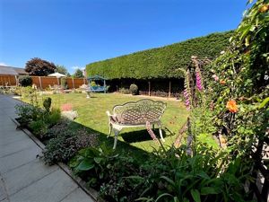 Photo 42- click for photo gallery